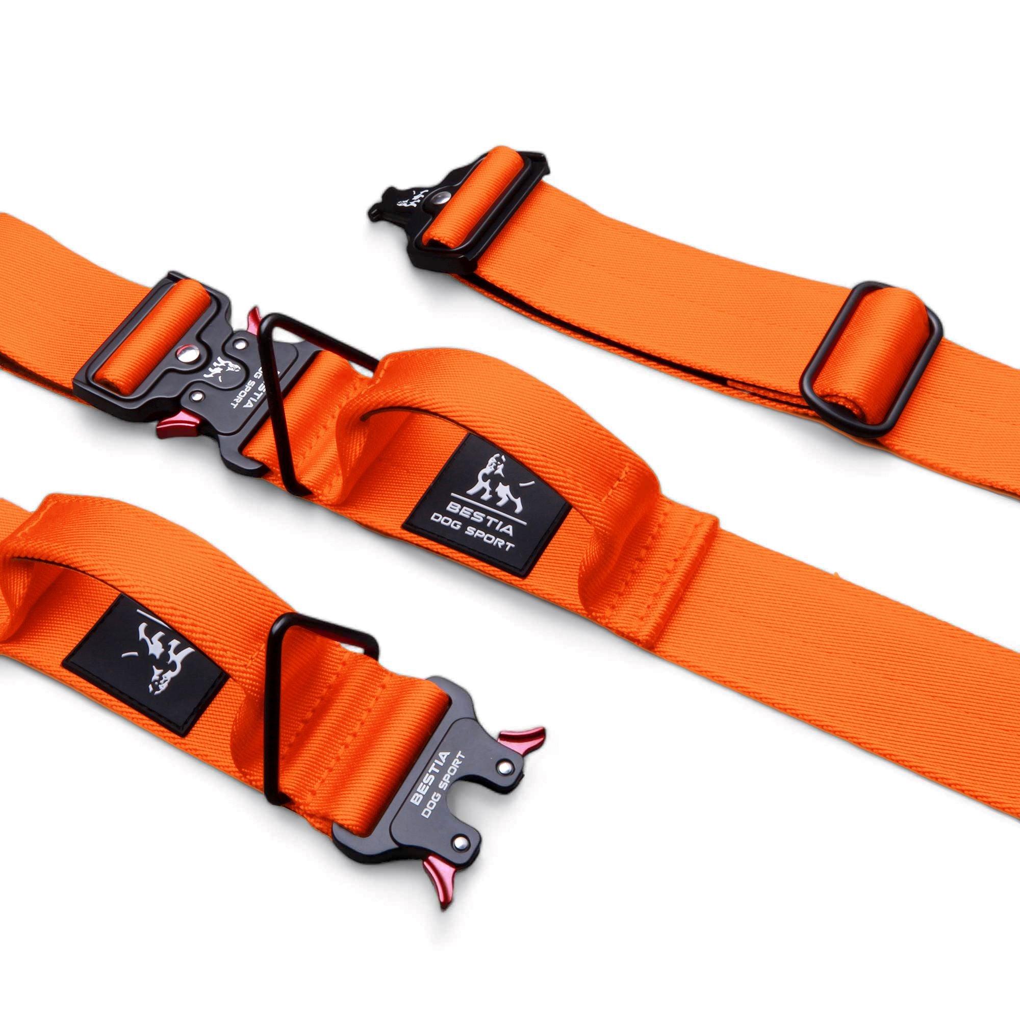 BESTIA DOG SPORT COLLAR TACTICO CON ASA GripPro